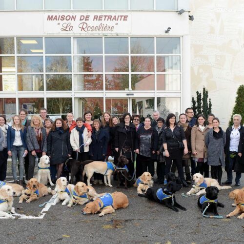 La maison de retraite La Roselière