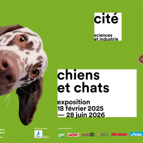 Exposition Chiens, Chats  2025 à la Cité des Sciences